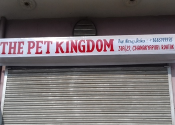 The-pet-kingdom-Pet-stores-Rohtak-Haryana-1