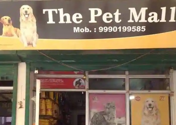 The-pet-mall-Pet-stores-Ghaziabad-Uttar-pradesh-1