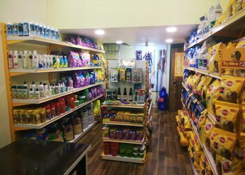 The-pet-mansion-Pet-stores-Kasaba-bawada-kolhapur-Maharashtra-2