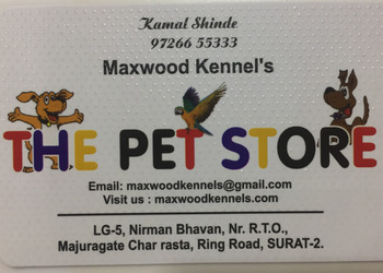 The-pet-store-Pet-stores-Surat-Gujarat-1