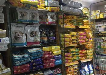 The-pet-store-Pet-stores-Surat-Gujarat-2