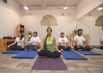 The-pink-lotus-academia-Yoga-classes-Nehru-place-delhi-Delhi-2