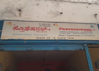 The-professional-couriers-Courier-services-Bellary-Karnataka-1