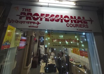 The-professional-couriers-Courier-services-Bhilwara-Rajasthan-1