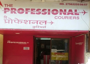 The-professional-couriers-Courier-services-Chembur-mumbai-Maharashtra-1