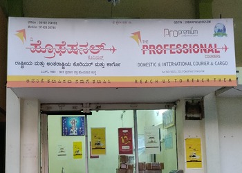 The-professional-couriers-Courier-services-Davanagere-Karnataka-1