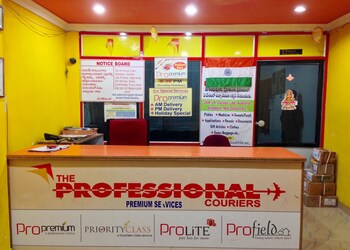 The-professional-couriers-Courier-services-Jaipur-Rajasthan-2