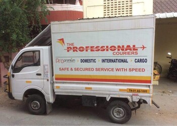 The-professional-couriers-Courier-services-Jaipur-Rajasthan-3