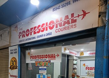 The-professional-international-couriers-Courier-services-Anantapur-Andhra-pradesh-1