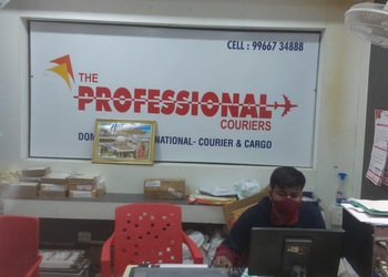 The-professional-international-couriers-Courier-services-Anantapur-Andhra-pradesh-3