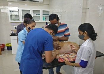 The-progressive-pet-clinic-Veterinary-hospitals-Vasai-virar-Maharashtra-2