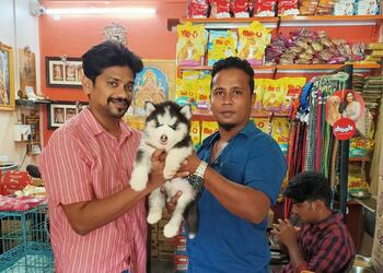 The-sai-kennel-Pet-stores-Coimbatore-Tamil-nadu-3