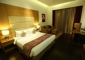 The-umrao-4-star-hotels-New-delhi-Delhi-2