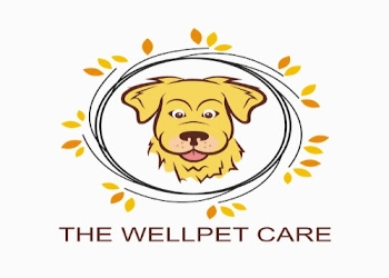The-wellpet-care-Veterinary-hospitals-Sultanpur-lucknow-Uttar-pradesh-1