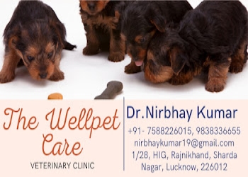 The-wellpet-care-Veterinary-hospitals-Thakurganj-lucknow-Uttar-pradesh-2