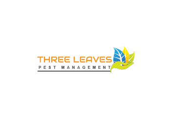 Three-leaves-pest-control-Pest-control-services-Ambad-nashik-Maharashtra-1