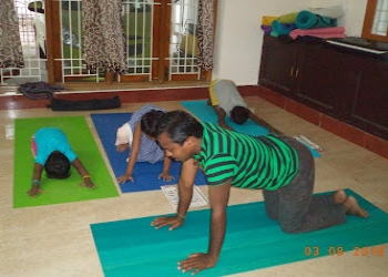Tms-yoga-arts-center-Yoga-classes-Velachery-chennai-Tamil-nadu-2