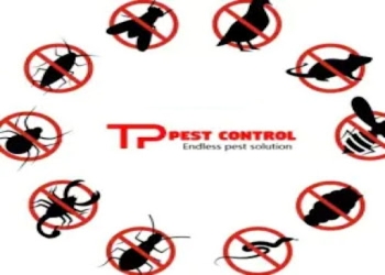 Tp-pest-control-service-Pest-control-services-Acharya-vihar-bhubaneswar-Odisha-1