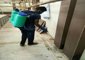 Tp-pest-control-service-Pest-control-services-Baramunda-bhubaneswar-Odisha-2