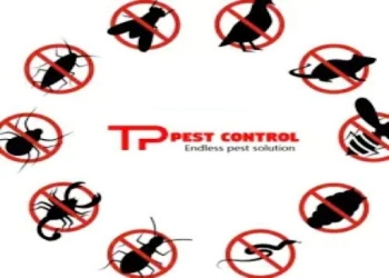 Tp-pest-control-service-Pest-control-services-Master-canteen-bhubaneswar-Odisha-1