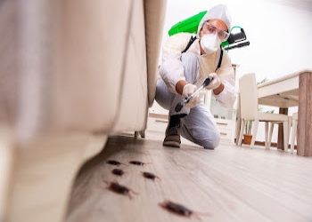 Tpc-kolkata-pest-control-Pest-control-services-Lake-town-kolkata-West-bengal-2