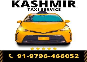 Travel-my-kashmir-Cab-services-Srinagar-Jammu-and-kashmir-1