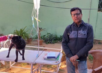 Tree-of-life-for-animals-Veterinary-hospitals-Pushkar-ajmer-Rajasthan-2