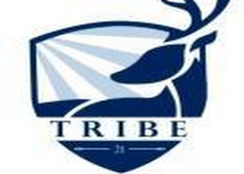 Tribe21-consultancy-services-pvt-ltd-Consultants-Srinagar-Jammu-and-kashmir-1