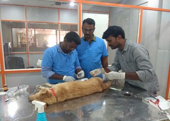 Trichy-pet-care-Veterinary-hospitals-Tiruchirappalli-Tamil-nadu-2