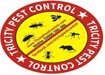 Tricity-pest-control-Pest-control-services-Panchkula-Haryana-1