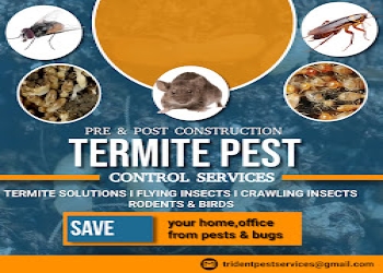 Trident-pest-control-services-Pest-control-services-Villianur-pondicherry-Puducherry-2