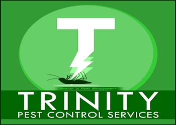 Trinity-pest-control-services-Pest-control-services-Warangal-Telangana-1