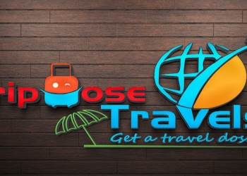 Tripdose-travels-Travel-agents-Sector-61-noida-Uttar-pradesh-1