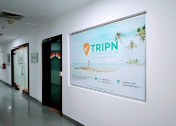 Tripn-travel-group-Travel-agents-Sector-56-gurugram-Haryana-2