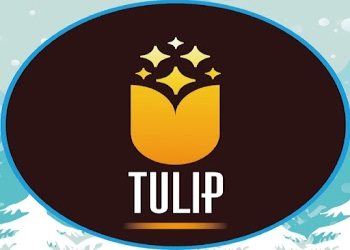 Tulip-catering-services-Catering-services-Nashik-Maharashtra-1