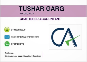 Tushar-garg-co-Chartered-accountants-Bharatpur-Rajasthan-1