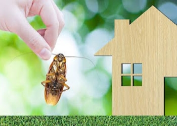 Ultra-pest-control-services-Pest-control-services-Secunderabad-Telangana-2