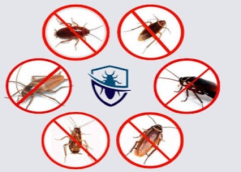 Unicare-facility-management-services-Pest-control-services-Acharya-vihar-bhubaneswar-Odisha-2