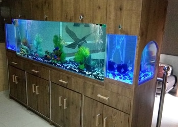 Unique-aquarium-complete-pet-shop-Pet-stores-Bhilai-Chhattisgarh-3