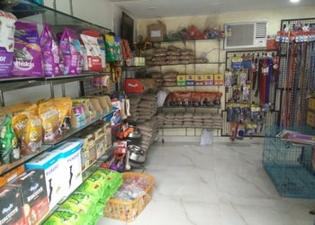 Unique-pets-Pet-stores-Sector-18-noida-Uttar-pradesh-2