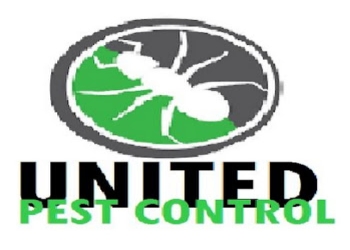 United-pest-control-Pest-control-services-Palayam-kozhikode-Kerala-1