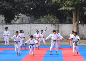Up-sports-karate-do-Martial-arts-school-Meerut-Uttar-pradesh-2