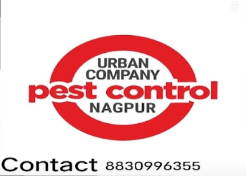 Urban-company-pest-control-nagpur-Pest-control-services-Nandanvan-nagpur-Maharashtra-1