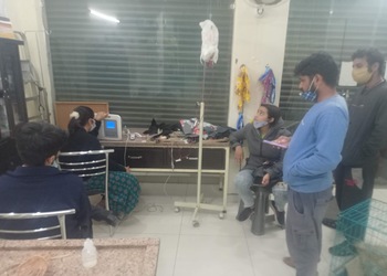 V-care-pet-clinic-Veterinary-hospitals-Dehradun-Uttarakhand-2