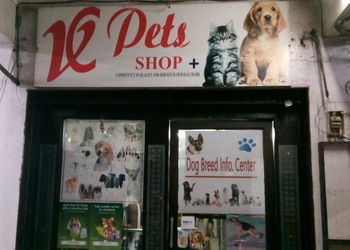 Vc-pets-Pet-stores-Agra-Uttar-pradesh-1