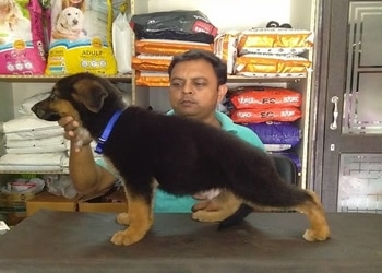 Vc-pets-Pet-stores-Agra-Uttar-pradesh-2