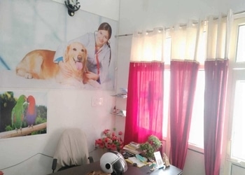Vet-care-clinic-and-diagnostic-lab-centre-Veterinary-hospitals-Bareilly-Uttar-pradesh-3