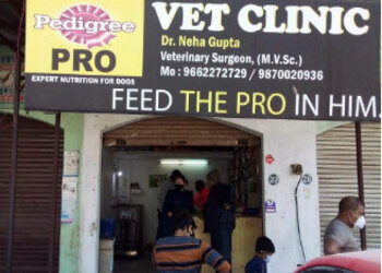 Vet-clinic-Veterinary-hospitals-Akota-vadodara-Gujarat-1