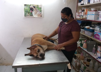 Vet-clinic-Veterinary-hospitals-Karelibaug-vadodara-Gujarat-2