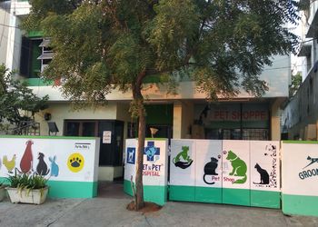 Vet-n-pet-hospital-Veterinary-hospitals-Charminar-hyderabad-Telangana-1